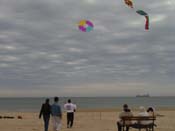 dsc00314