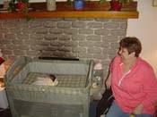dsc02539