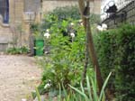 dsc02113