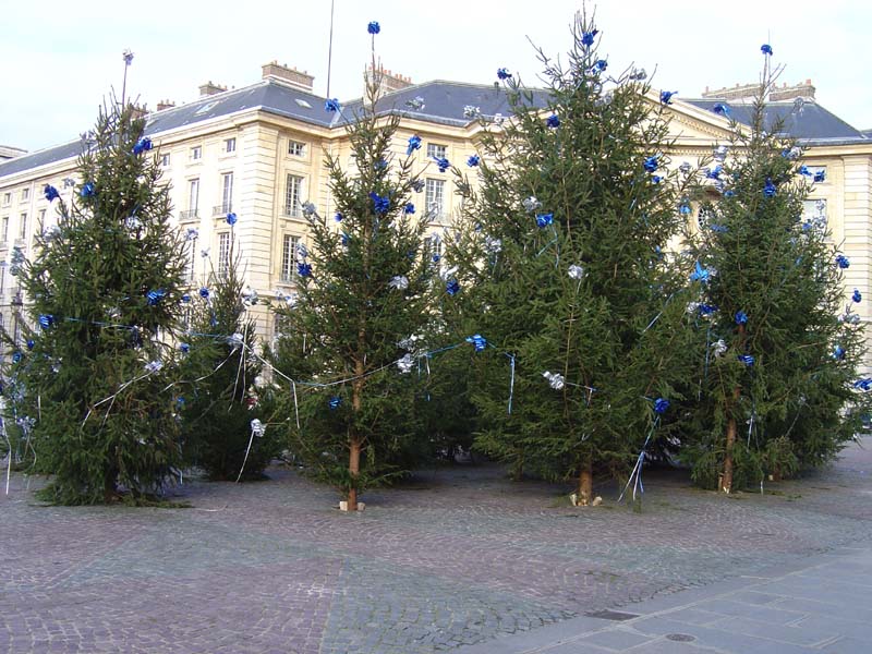dsc02260