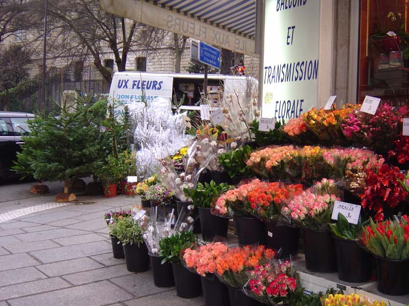 dsc02299