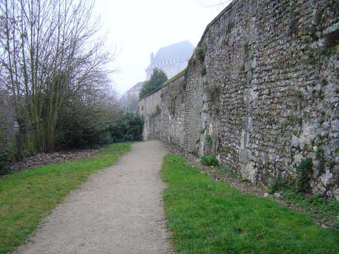 dsc03317