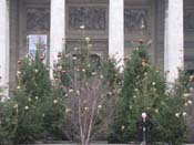 paris_2